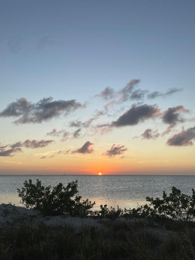 Vila The Coral Casa Caye Caulker Exteriér fotografie